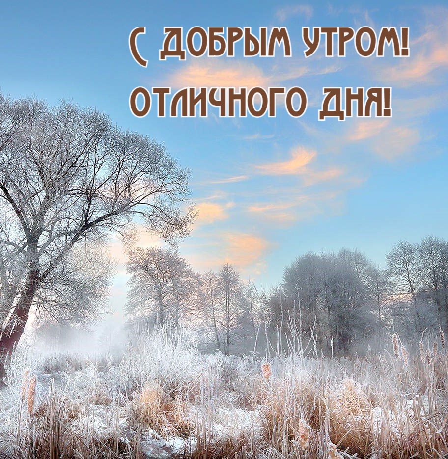С добрым утром!  Отличного дня!