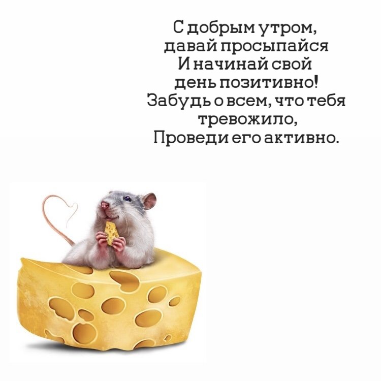 С добрым утром, давай просыпайся И начинай свой день позитивно! Забудь о всем, что тебя тревожило, Проведи его активно.