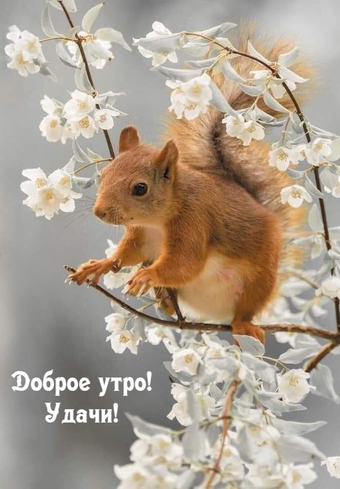Доброе утро! Удачи!