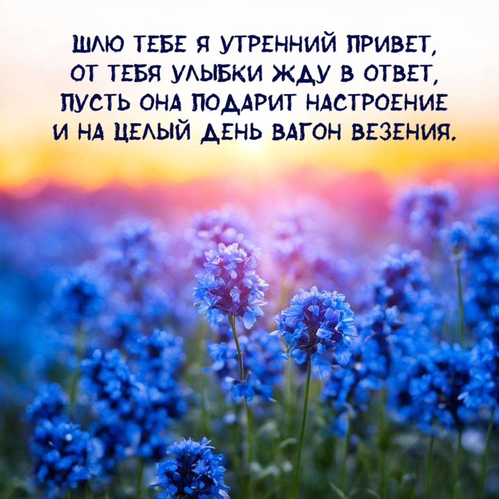 Шлю тебе я утренний привет