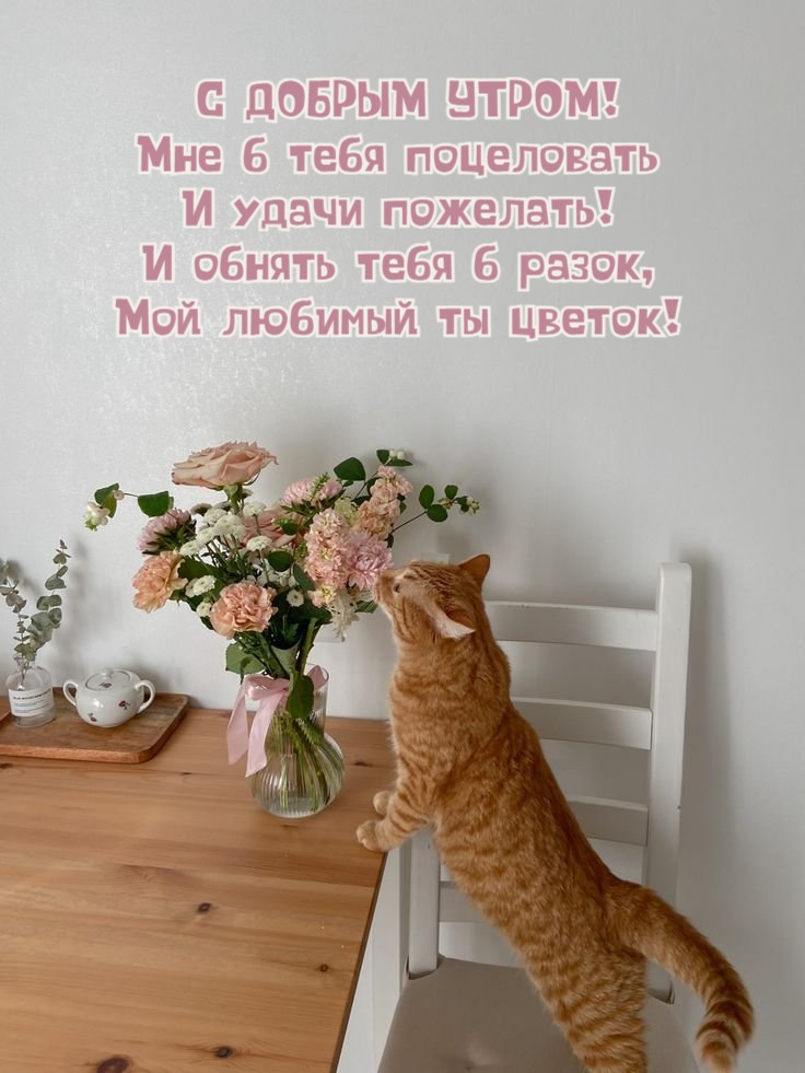 Мне б тебя поцеловать И удачи пожелать!