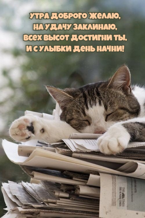 Утра доброго желаю, На удачу заклинаю