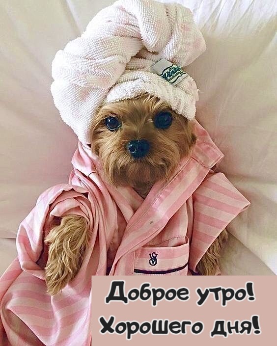 Доброе утро! Хорошего дня!