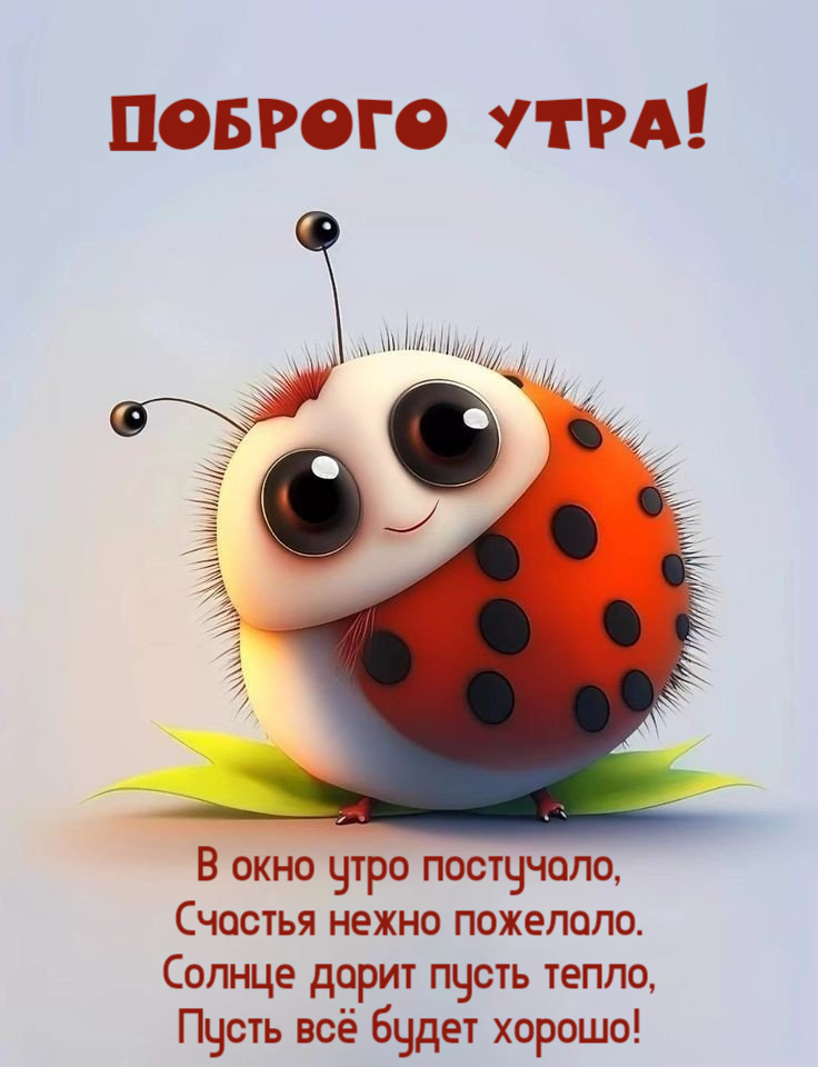 В окно утро постучало, Счастья нежно пожелало