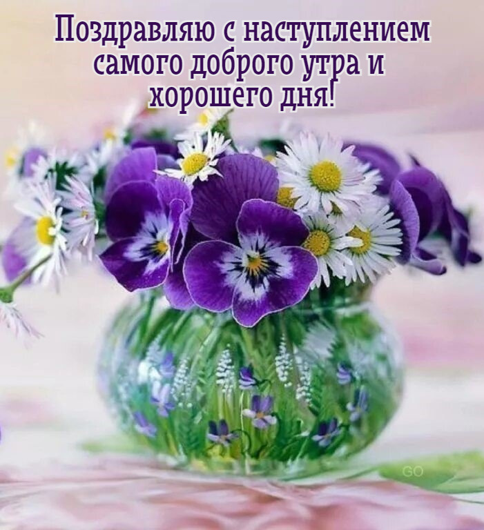 Поздравляю с наступлением самого доброго утра и хорошего дня!