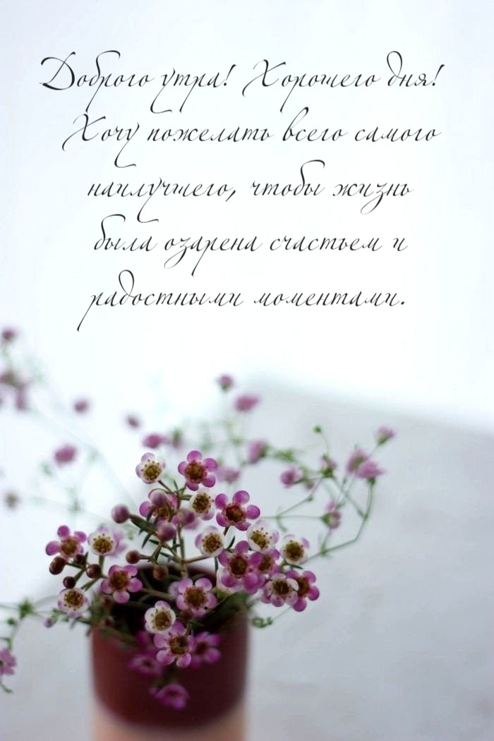 Хочу пожелать всего самого наилучшего
