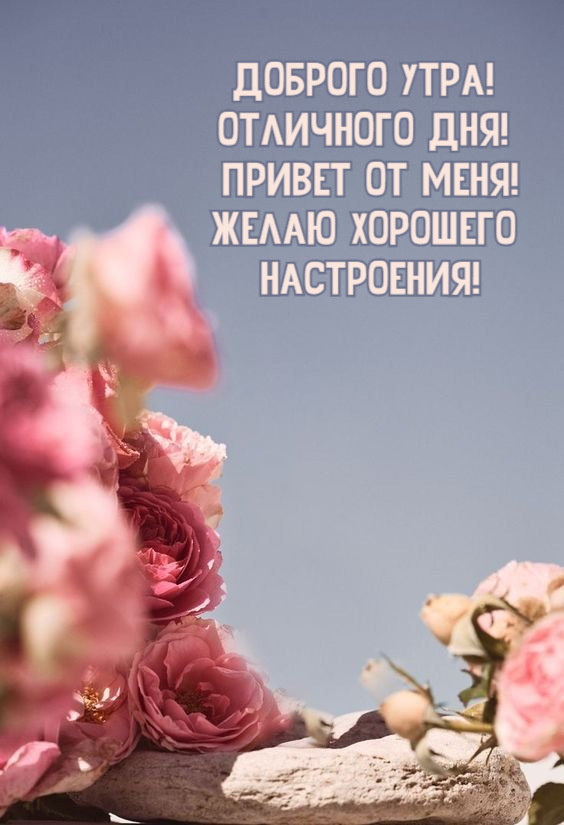 Привет от меня!