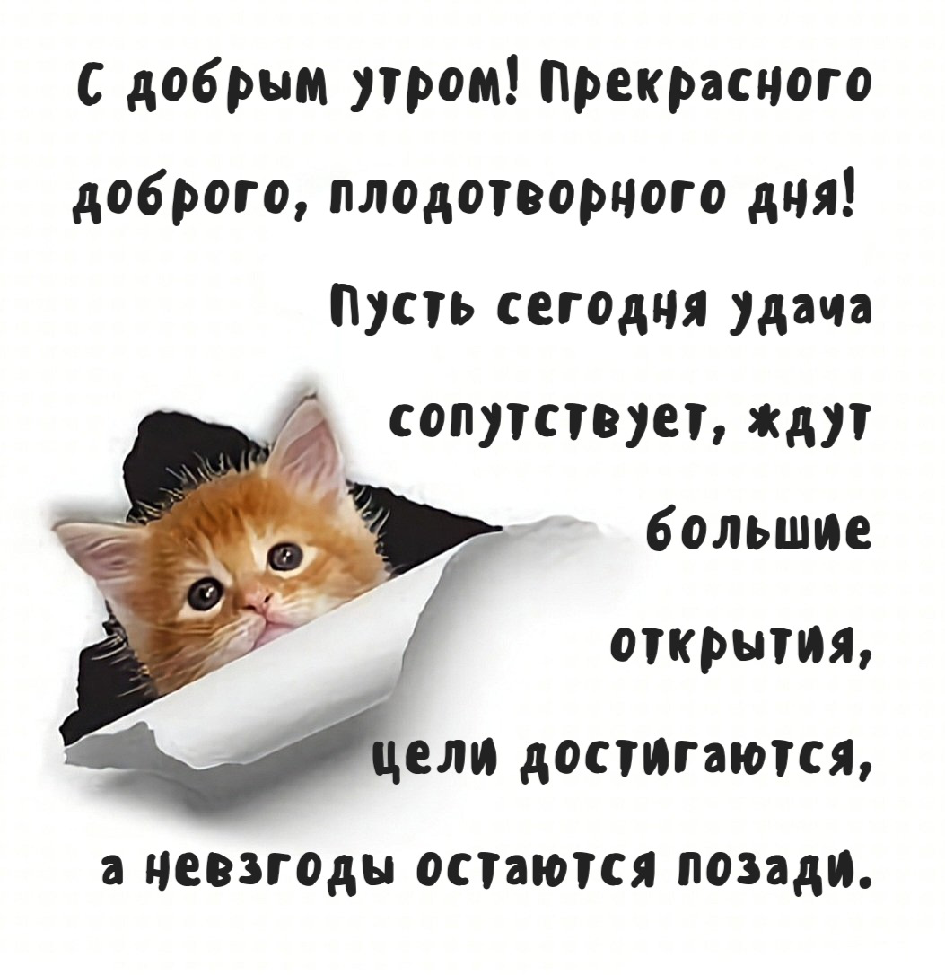 С добрым утром! Прекрасного доброго, плодотворного дня! Пусть сегодня удача сопутствует, ждут большие открытия, цели достигаются, а невзгоды остаются позади.