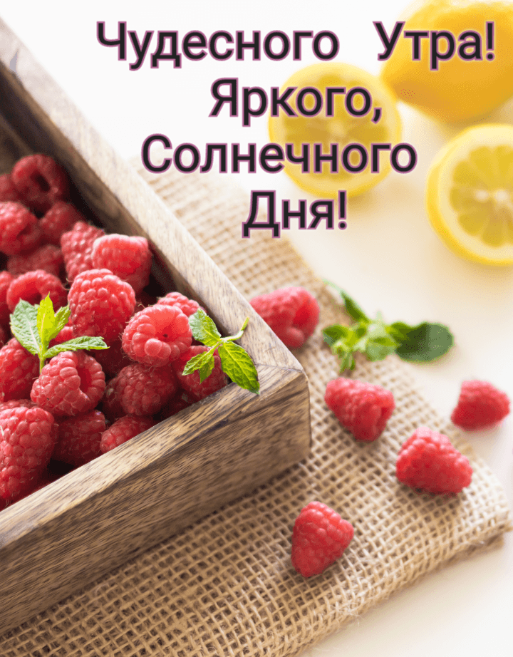 Чудесного Утра! Яркого, Солнечного Дня!