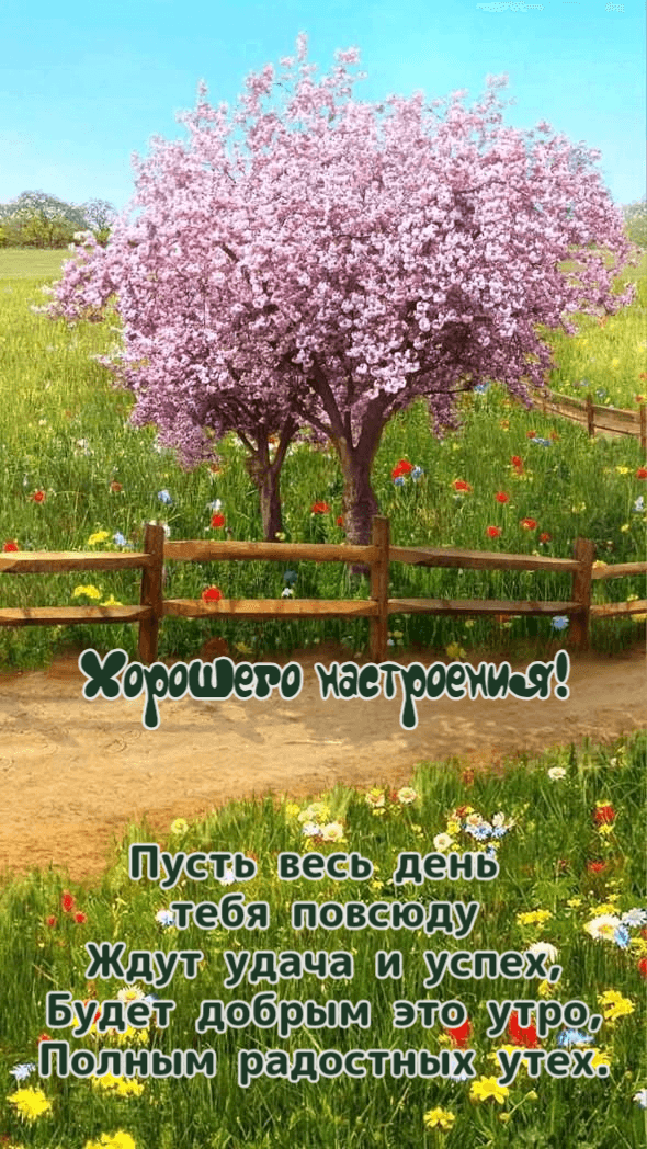 Пусть весь день тебя повсюду Ждут удача и успех