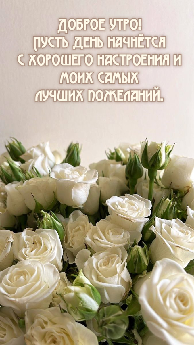 Пусть день начнётся с хорошего настроения и моих самых лучших пожеланий.