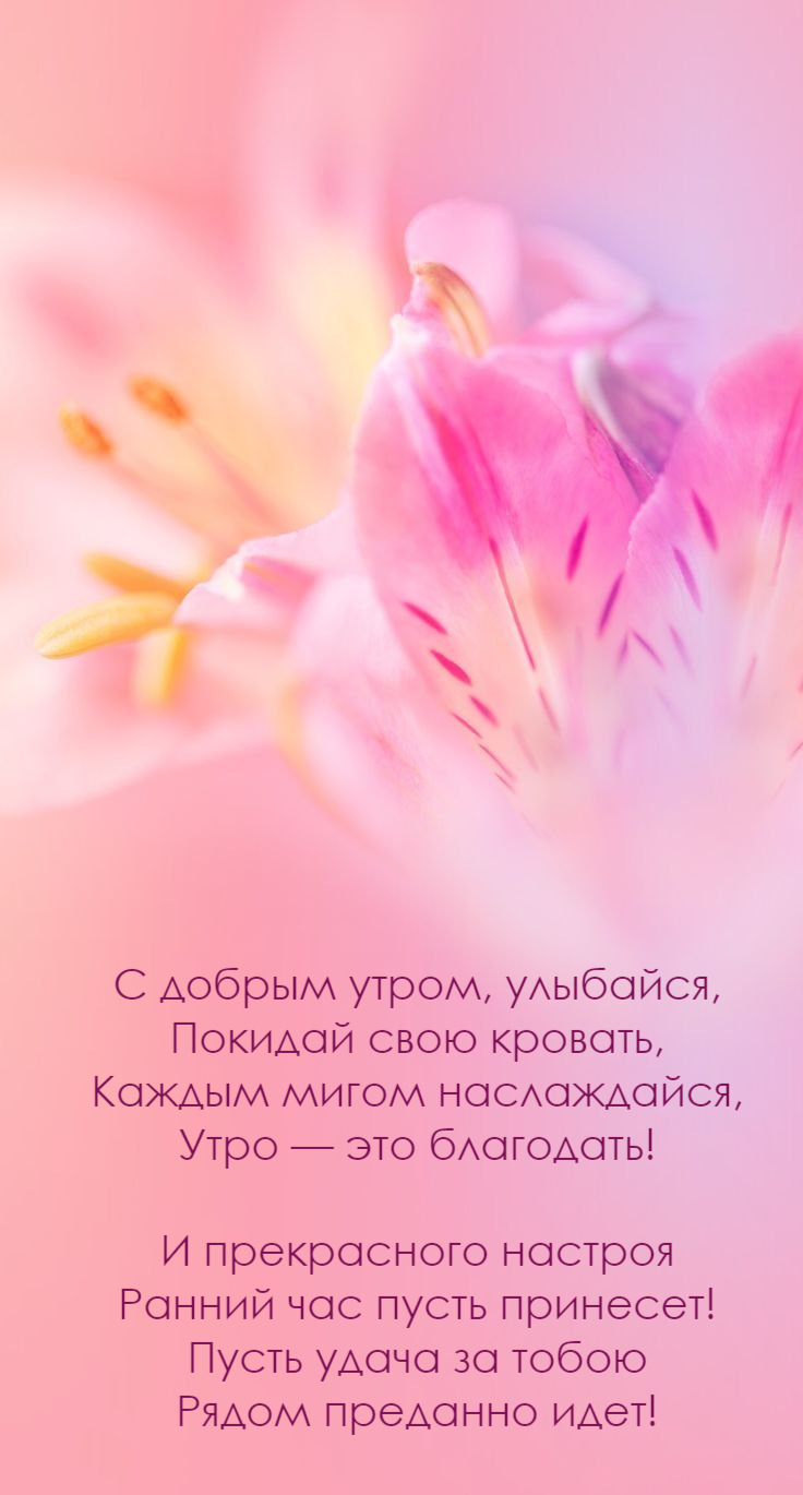 С добрым утром, улыбайся, Покидай свою кровать