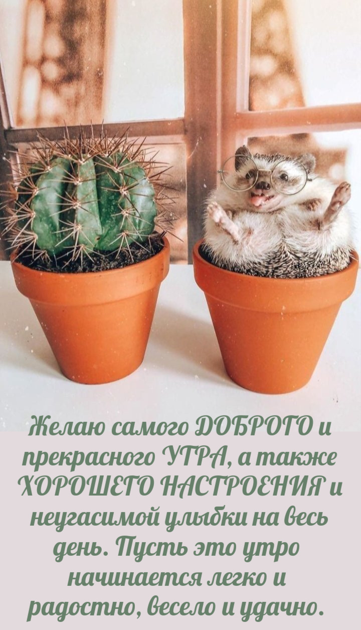 Желаю самого ДОБРОГО и прекрасного УТРА