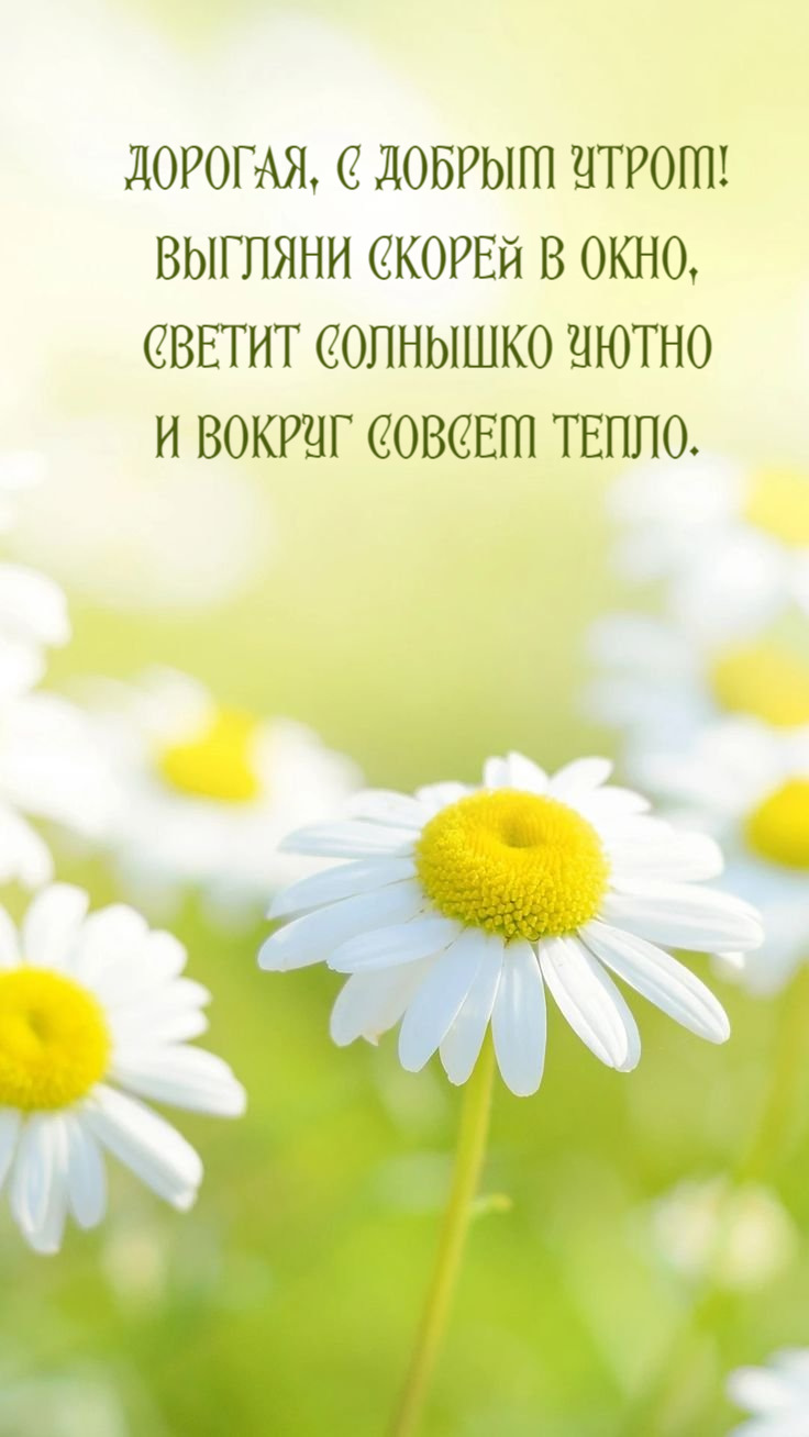 Выгляни скорей в окно