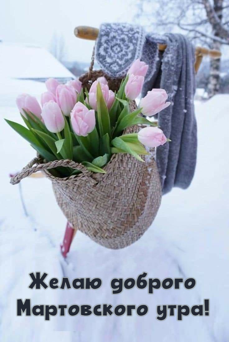 Доброго мартовского утра мудрые. Весенний букет зимой. Весенний букет на снегу. Букет весенних цветов. Открытки с добрым утром весенние.