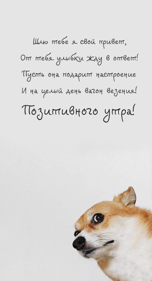 Шлю тебе я свой привет, От тебя улыбки жду в ответ!