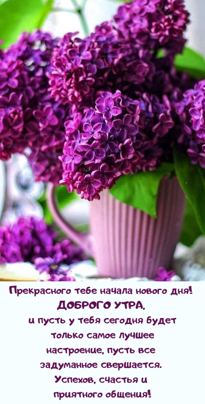 пусть у тебя сегодня будет только
