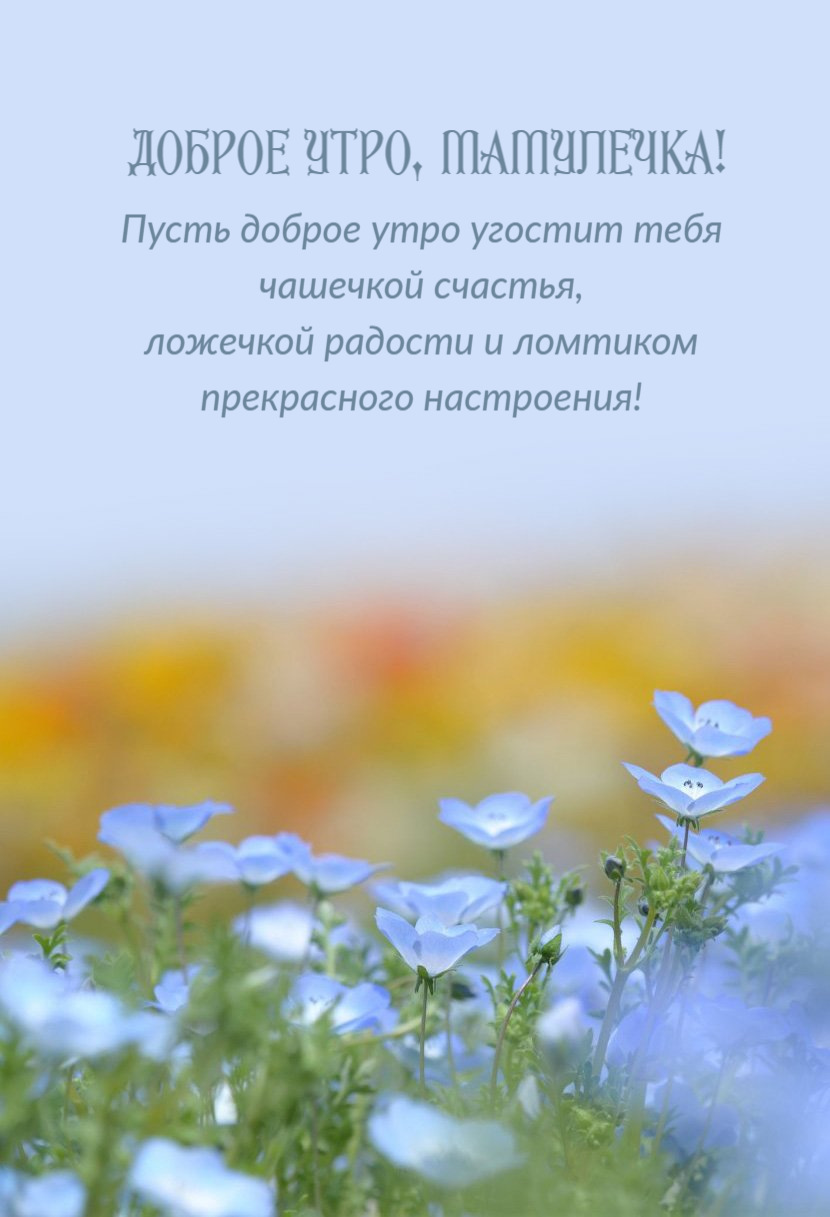 Пусть доброе утро угостит тебя чашечкой счастья