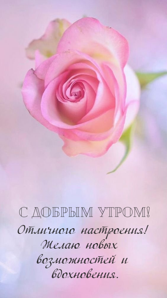 Желаю новых возможностей и вдохновения.