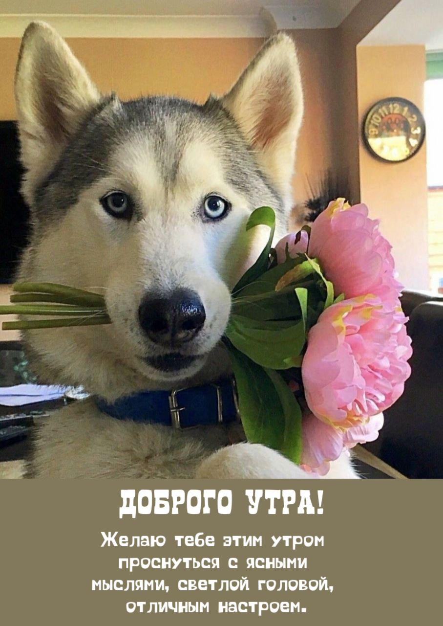 Желаю тебе этим утром  проснуться с ясными  мыслями