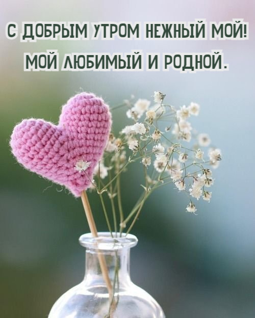 С добрым утром нежный мой! Мой любимый и родной.