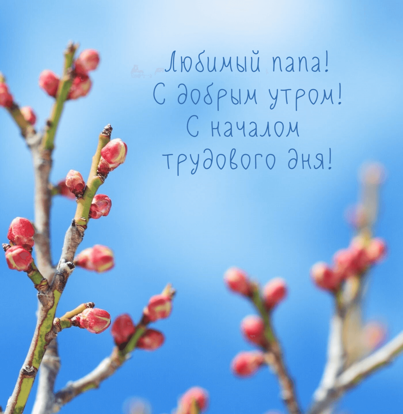 Любимый папа! С добрым утром! С началом трудового дня!