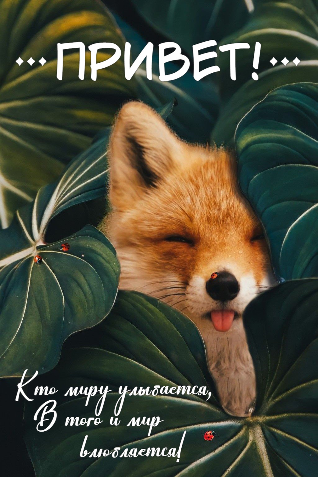 Кто миру улыбается В того и мир влюбляется!