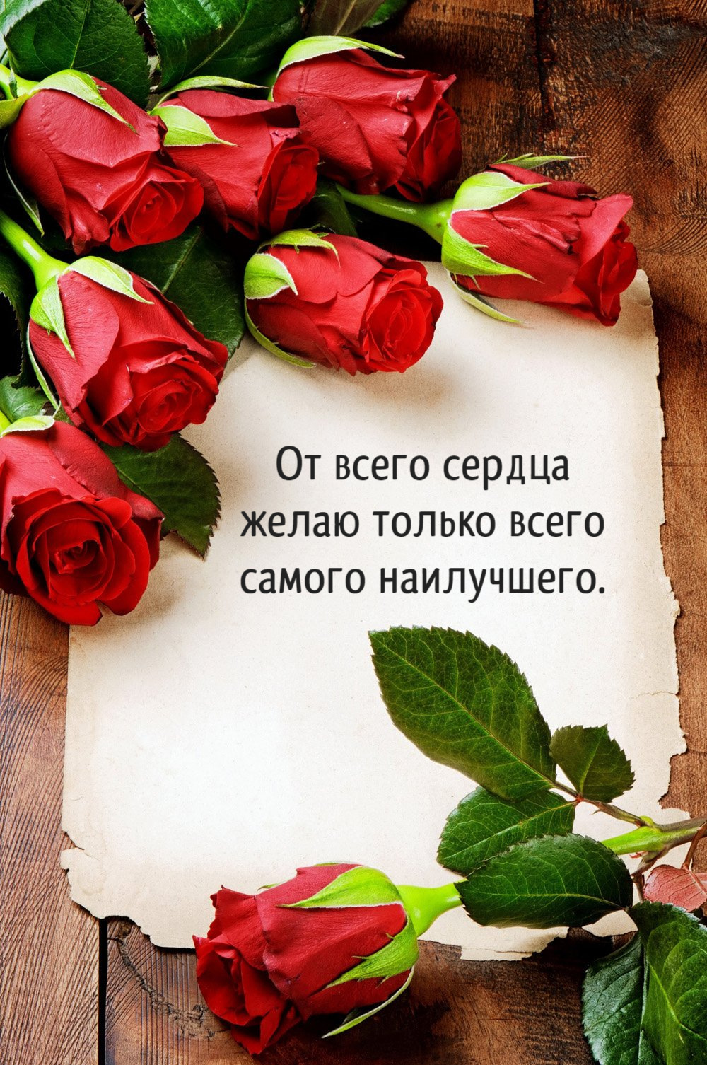 От всего сердца желаю только всего самого наилучшего.