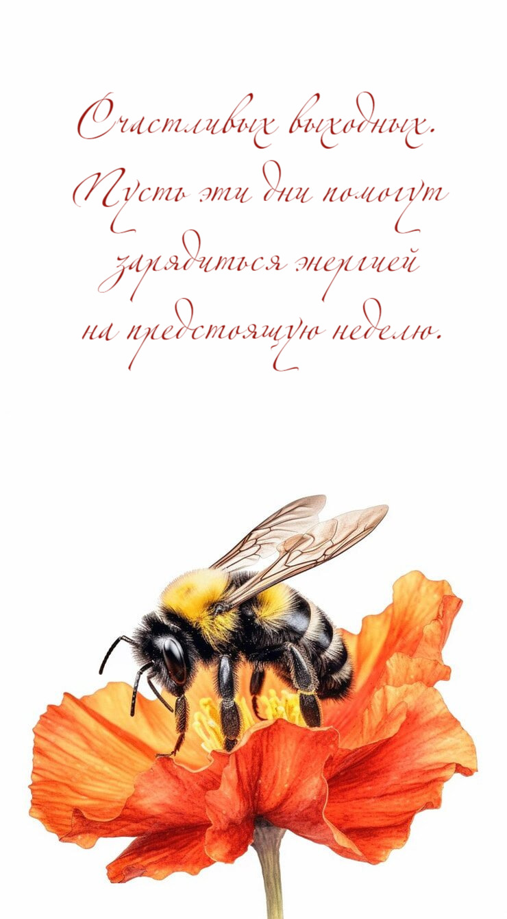 Пусть эти дни помогут   зарядиться энергией