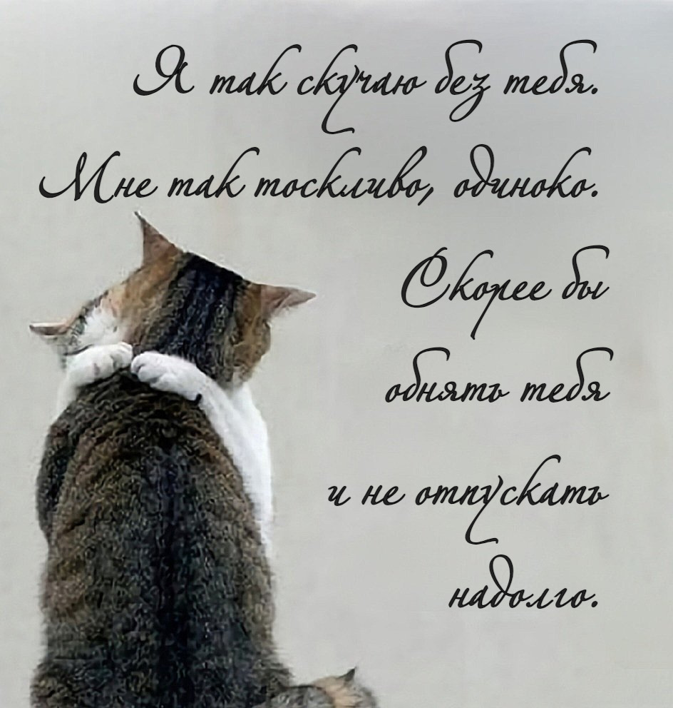 Я так скучаю без тебя. Мне так тоскливо, одиноко. Скорее бы обнять тебя и не отпускать надолго.