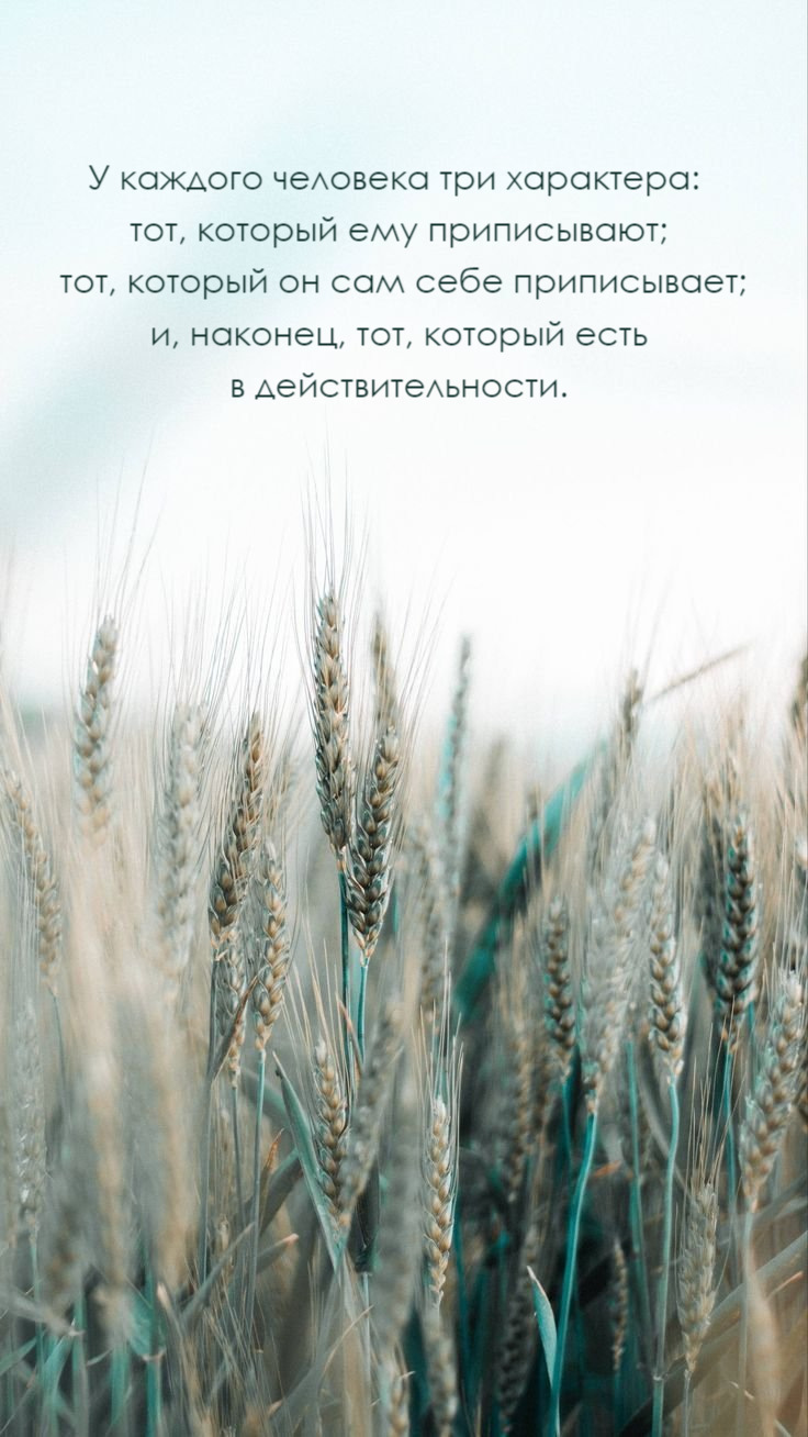 У каждого человека три характера