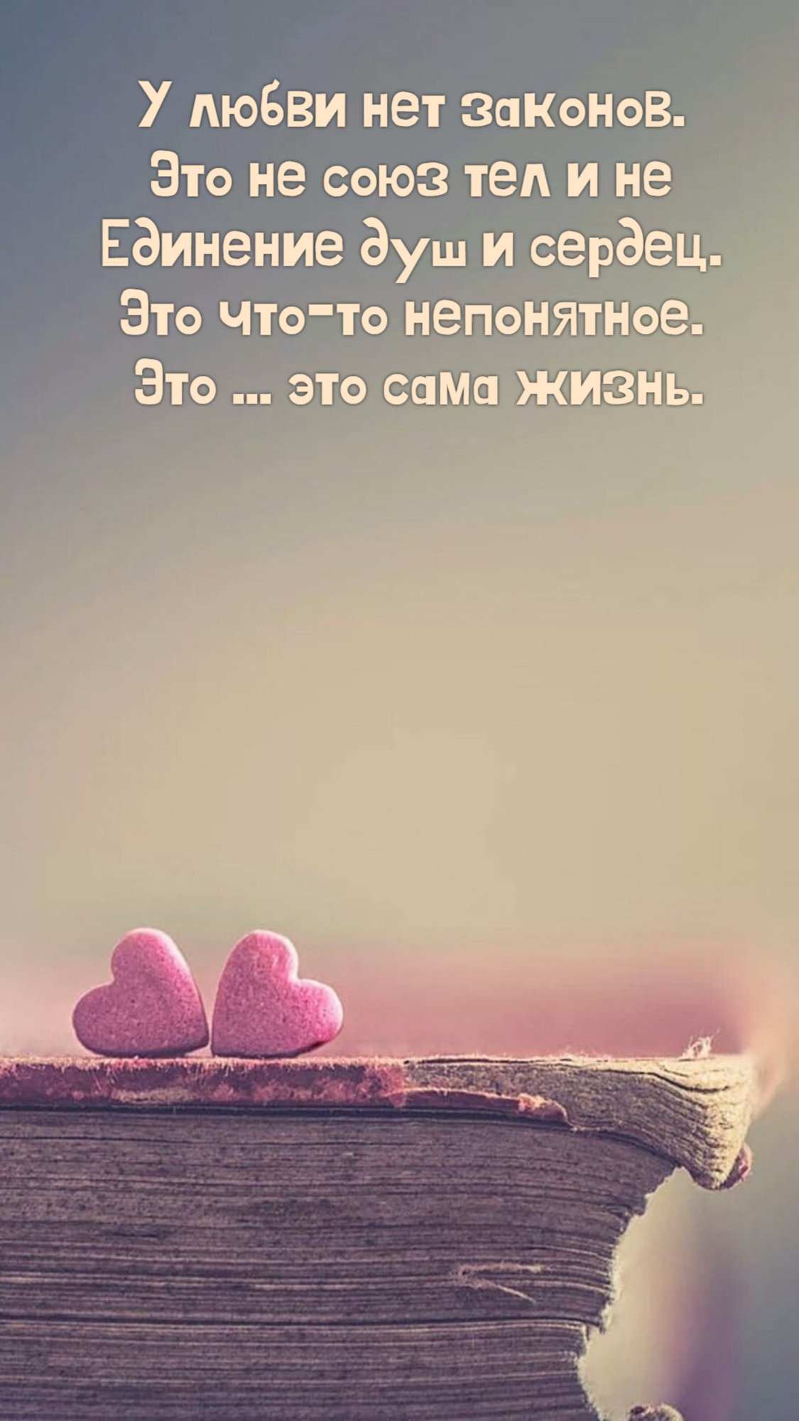У любви нет законов.