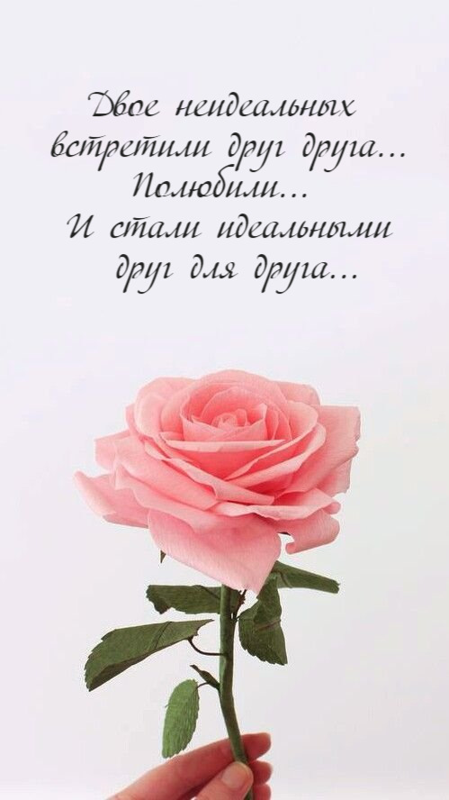 Двое неидеальных встретили друг друга…