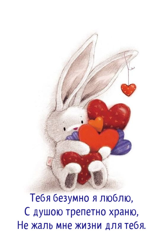 Тебя безумно я люблю