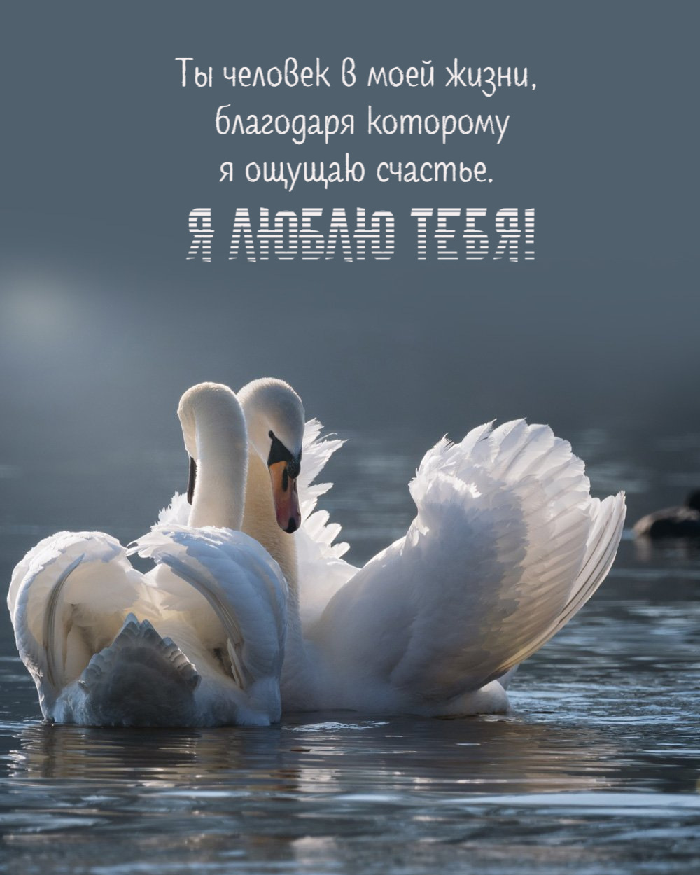 Ты человек в моей жизни, благодаря которому я ощущаю счастье.