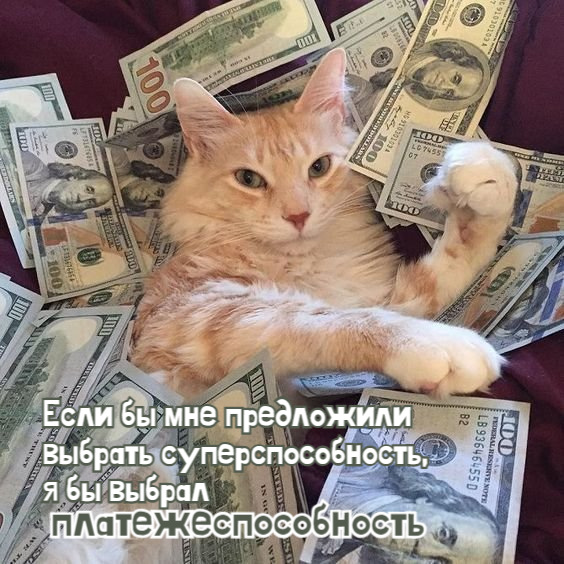 Если бы мне предложили выбрать