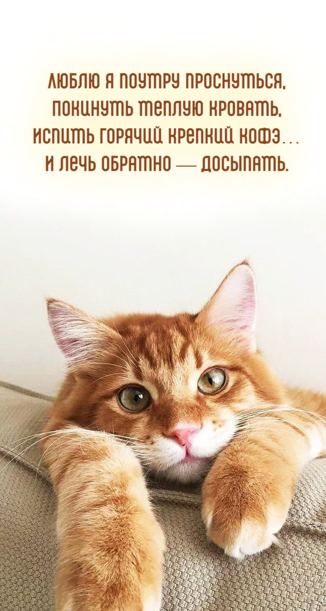 Люблю я поутру проснуться, Покинуть теплую кровать