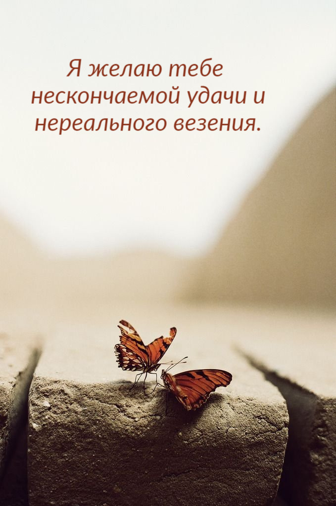 Я желаю тебе нескончаемой удачи и нереального везения.