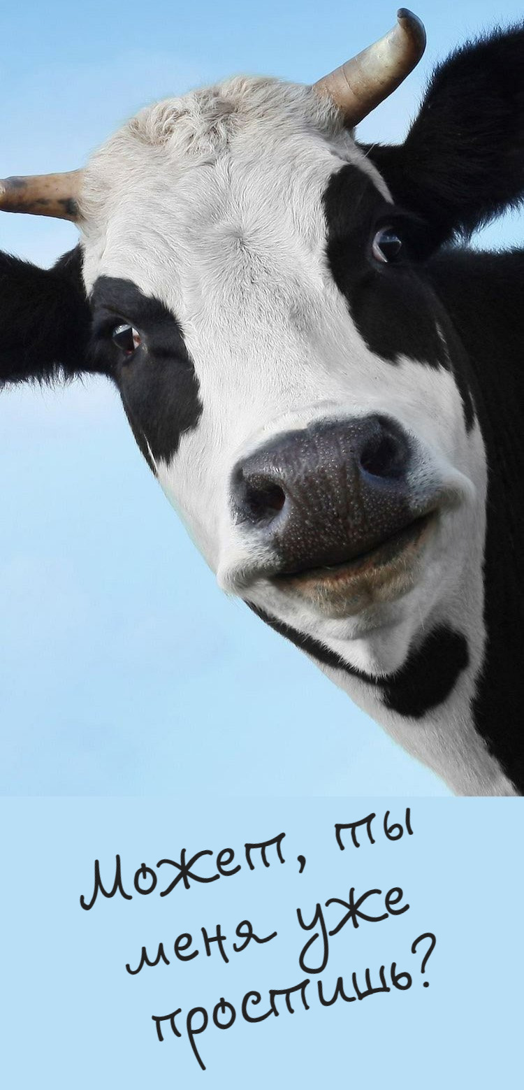 Может, ты  меня уже  простишь?