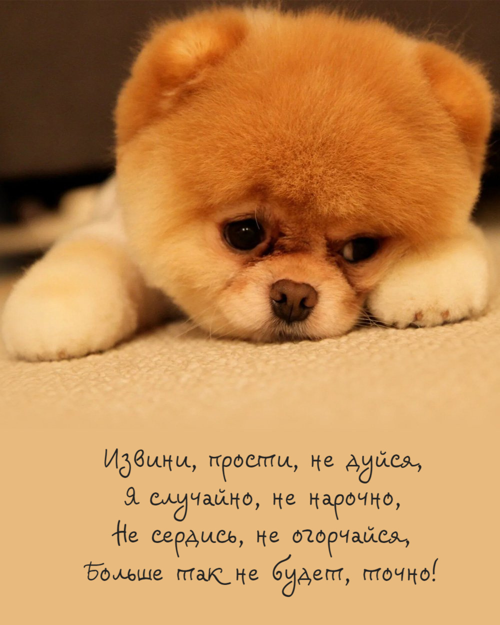 Извини, прости, не дуйся