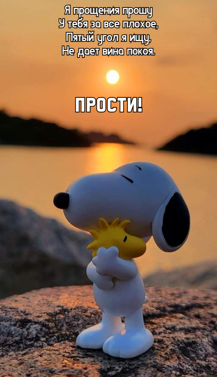 Я прощения прошу У тебя за все плохое