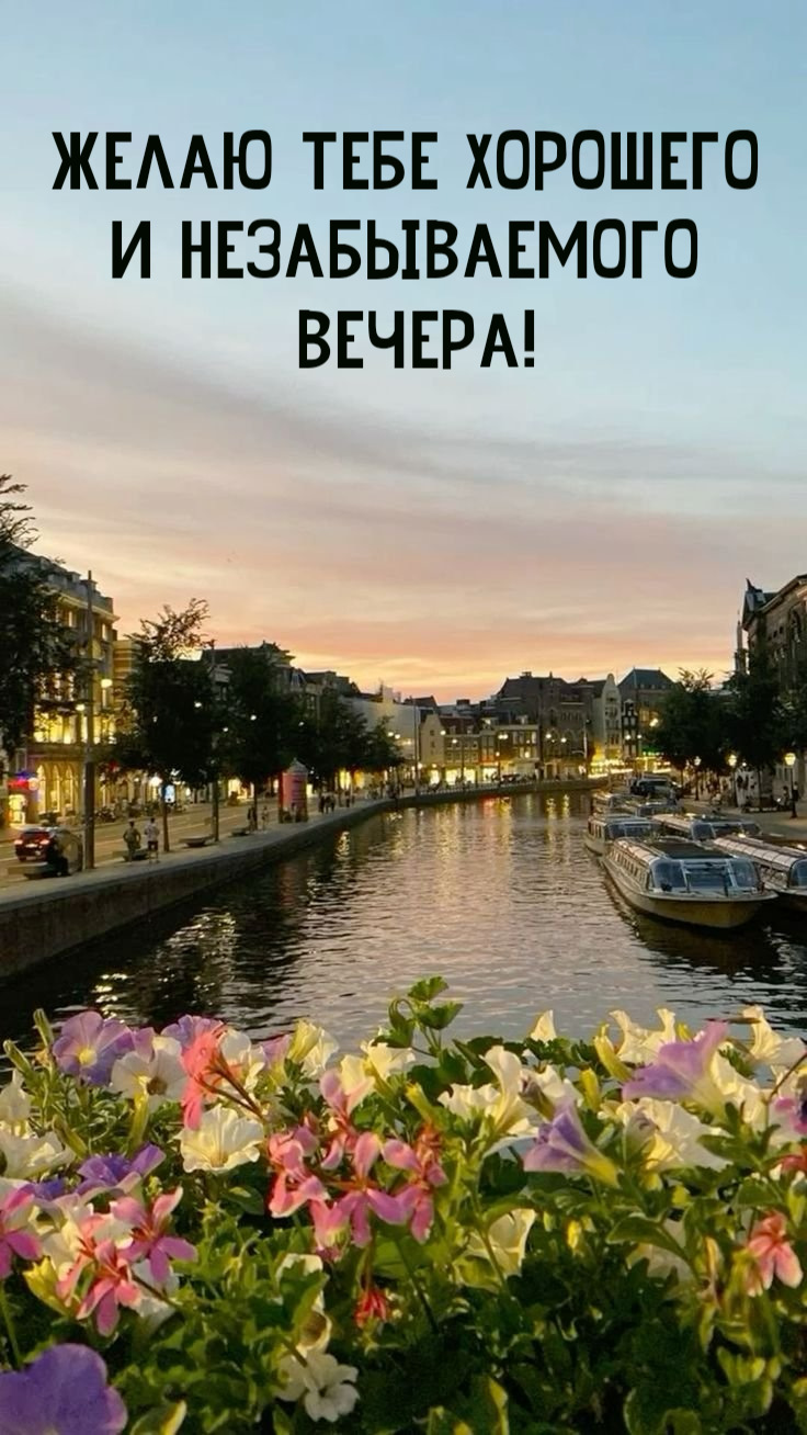 Желаю тебе хорошего  И незабываемого  Вечера!