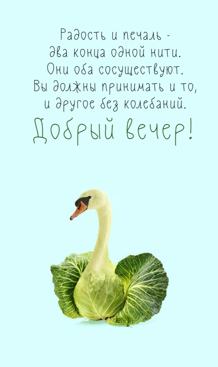 Радость и печаль -  два конца одной нити.