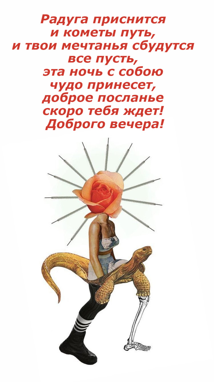 Радуга приснится и кометы путь, и твои мечтанья сбудутся все пусть, эта ночь с собою чудо принесет, доброе посланье скоро тебя ждет! Доброго вечера!