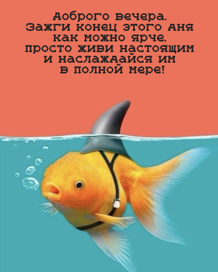 Доброго вечера. Зажги конец этого дня как можно ярче, просто живи настоящим и наслаждайся им в полной мере!