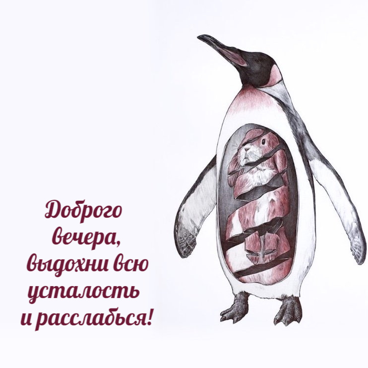 Доброго вечера, выдохни всю усталость и расслабься!