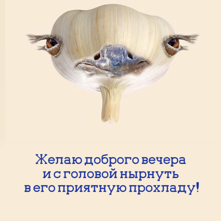 Желаю доброго вечера и с головой нырнуть в его приятную прохладу!
