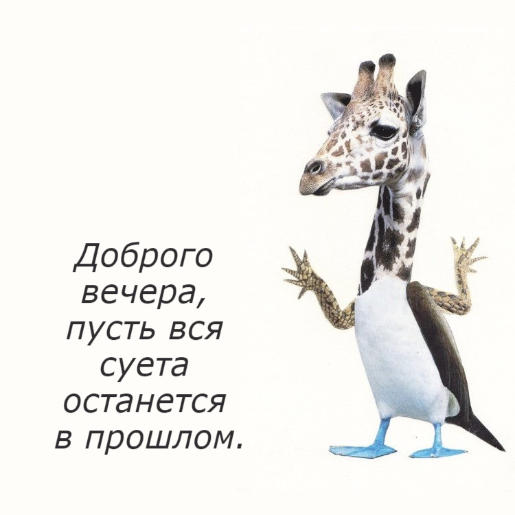 Доброго вечера, пусть вся суета останется в прошлом.