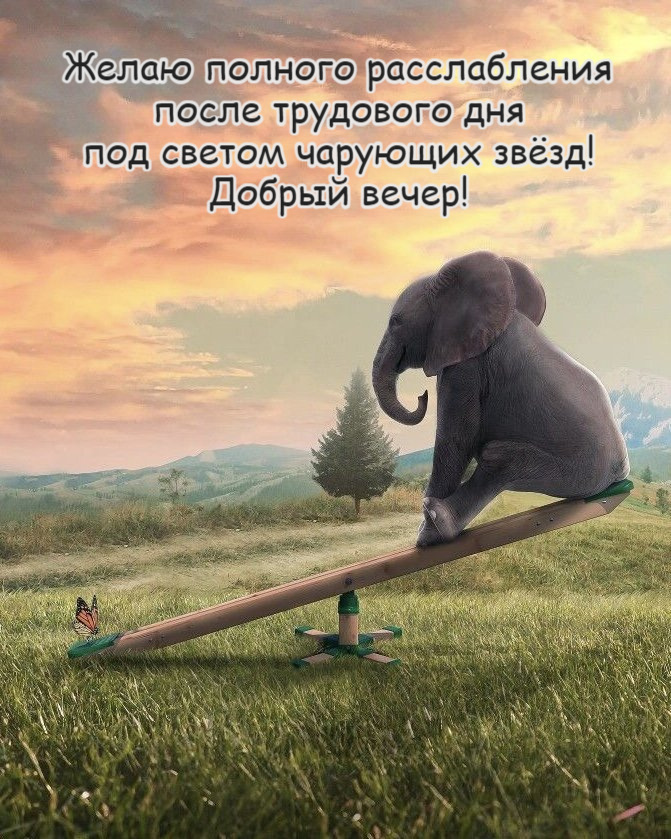 Желаю полного расслабления  после трудового дня  под светом чарующих звёзд! Добрый вечер!