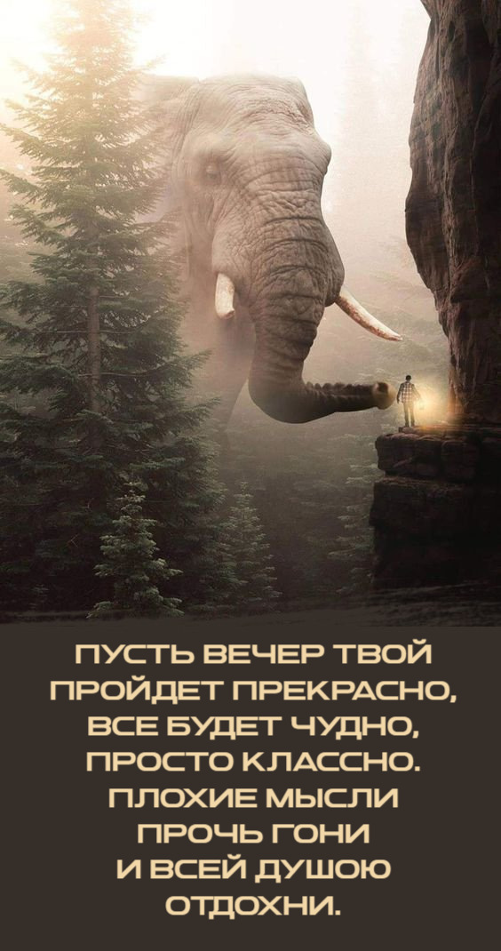 Пусть вечер твой пройдет прекрасно